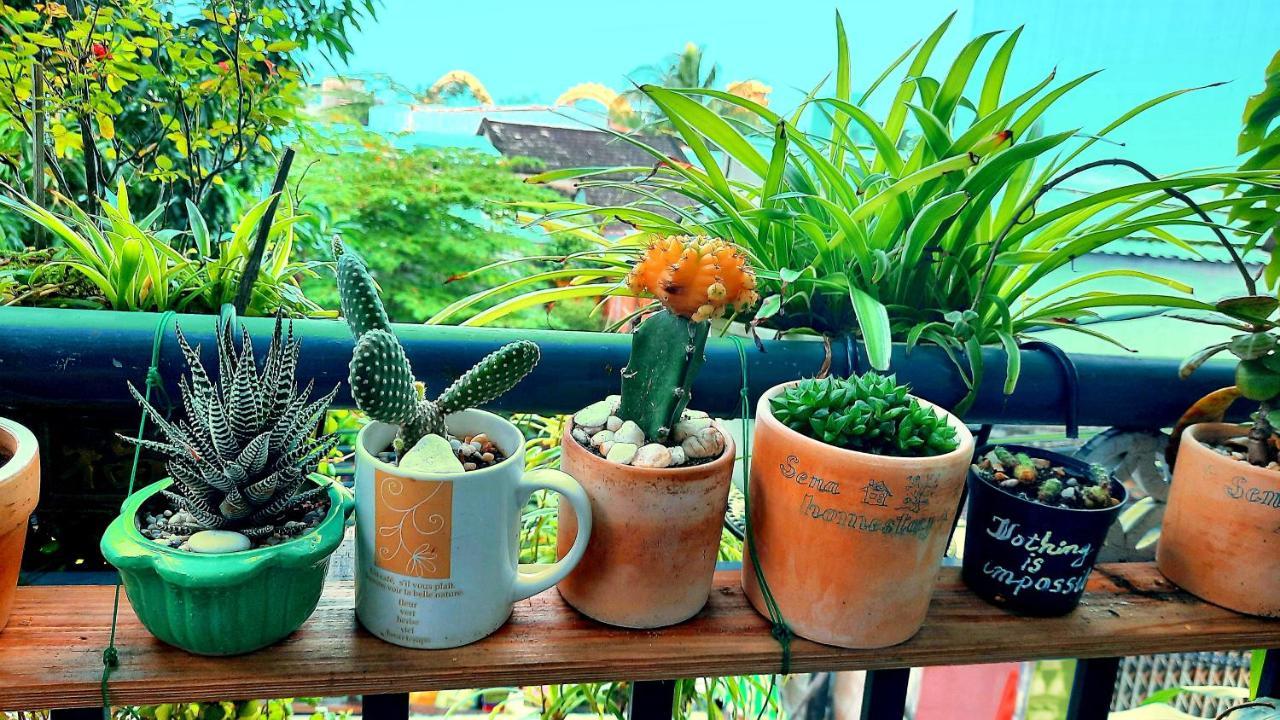 Sena Home 2Nd*Near Danang Han River*Dragon Bridge Kültér fotó